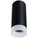 Потолочный светильник Arte Lamp Ogma A5556PL-1BK