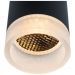 Потолочный светильник Arte Lamp Ogma A5556PL-1BK