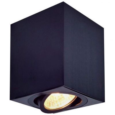 Спот поворотный Citilux CL538213