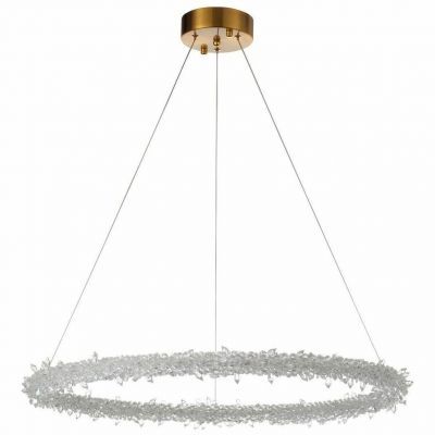 Подвесной светодиодный светильник ST Luce SL6105.213.01