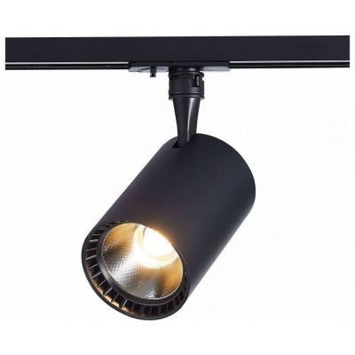 Трековый светильник ST Luce ST351.436.20.36