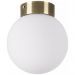 Настенно-потолочный светильник Lightstar Globo 812011