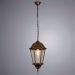 Уличный подвесной светильник Arte Lamp Genova A1204SO-1BN