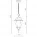 Уличный подвесной светильник Arte Lamp Genova A1204SO-1BN