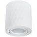Потолочный светильник Arte Lamp A5559PL-1WH