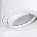 Потолочный светильник Arte Lamp A5559PL-1WH