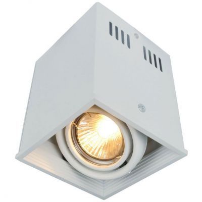 Потолочный светильник Arte Lamp A5942PL-1WH