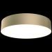 Потолочный светодиодный светильник Maytoni Technical C032CL-L43MG3K