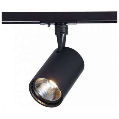 Трековый светильник ST Luce ST351.436.30.24