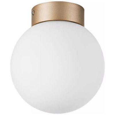 Настенно-потолочный светильник Lightstar Globo 812013