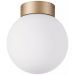 Настенно-потолочный светильник Lightstar Globo 812013