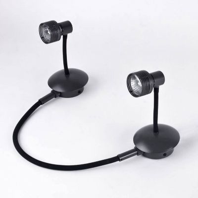 Спот Lussole Loft GRLSP-9821-02