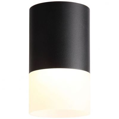 Светильник потолочный ST Luce ST100.402.05