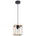 Подвесной светильник Arte Lamp A7025SP-1BK