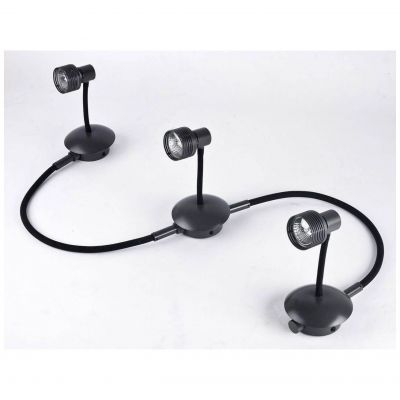 Спот Lussole Loft GRLSP-9821-03