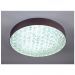 Потолочная люстра с пультом Escada 10246/1LED