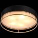 Светильник потолочный ST Luce SL1127.432.05