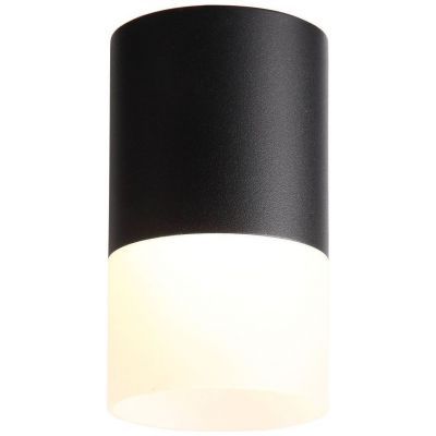 Светильник потолочный ST Luce ST100.402.10