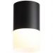 Светильник потолочный ST Luce ST100.402.10