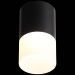 Светильник потолочный ST Luce ST100.402.10