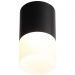 Светильник потолочный ST Luce ST100.402.10