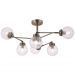 Потолочная люстра Freya FR5041PL-06BS Daisy