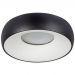 Потолочный светильник Arte Lamp A6665PL-1BK
