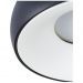 Потолочный светильник Arte Lamp A6665PL-1BK