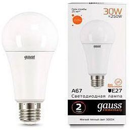 Лампа Gauss 73219 LED Elementary A67 30W E27 3000K