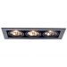 Светильник точечный Arte Lamp A5930PL-3BK