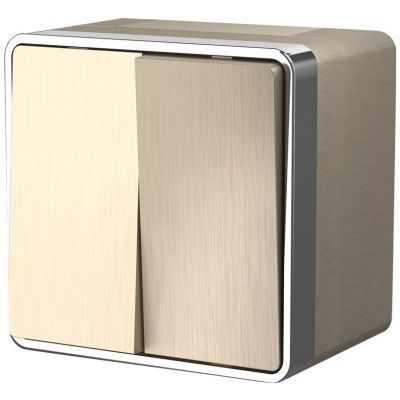 Выключатель двухклавишный влагозащищенный Gallant (шампань рифленый) W5020210 Werkel