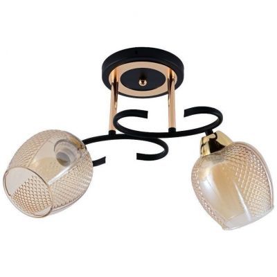 Люстра ЭкономСвет 12164/2MBK+GD BR