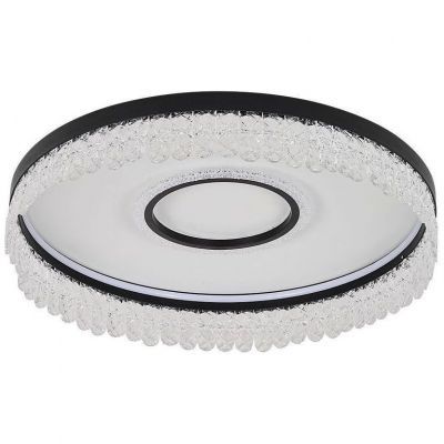 Потолочный светодиодный светильник F-Promo Lunetta 4187-2C