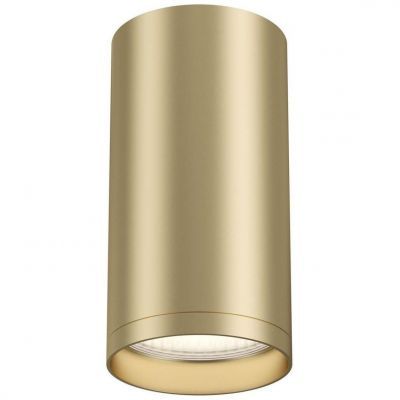 Потолочный светильник Maytoni Focus S C052CL-01MG