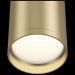 Потолочный светильник Maytoni Focus S C052CL-01MG