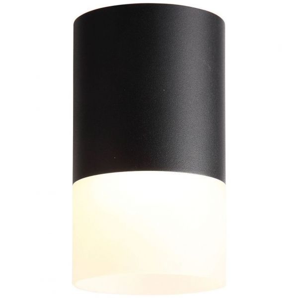 Светильник потолочный ST Luce ST100.442.05
