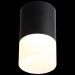 Светильник потолочный ST Luce ST100.442.05