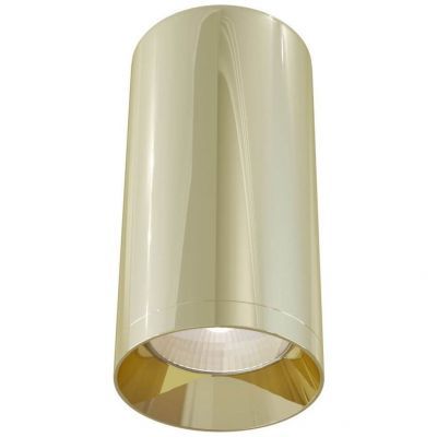 Потолочный светильник Maytoni C010CL-01G Alfa