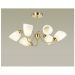 Потолочная люстра Lumion Darlene 4532/6C
