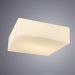 Светильник Arte Lamp A7428PL-2WH