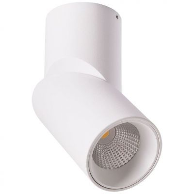 Светодиодный спот Arte Lamp Orione A7717PL-1WH