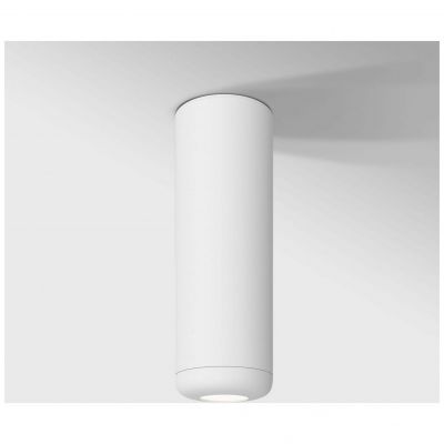 Светильник накладной светодиодный Onde Elektrostandard 25045/LED 10W 4000K белый