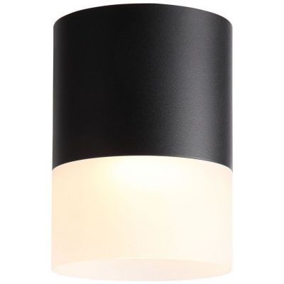 Светильник потолочный ST Luce ST100.442.15