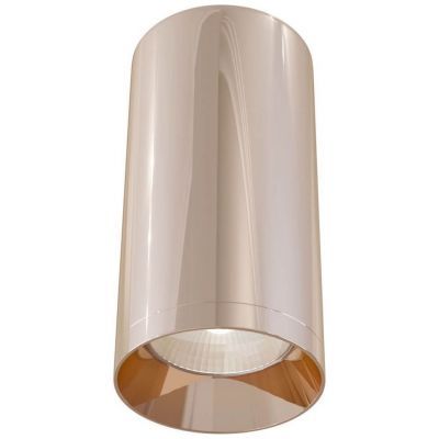 Потолочный светильник Maytoni C010CL-01RG Alfa