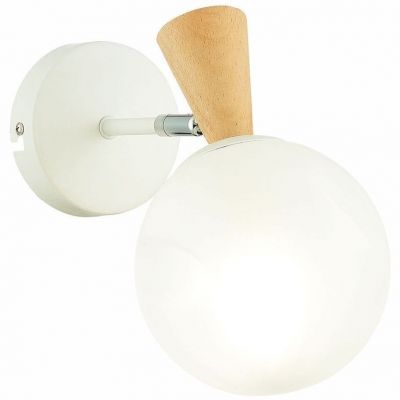 Настенный светильник Evoluce SLE220701-01