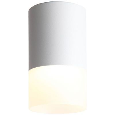Светильник потолочный ST Luce ST100.502.05