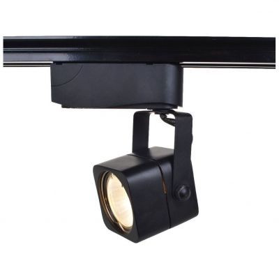 Спот Arte Lamp A1314PL-1BK