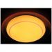 Светильник Ambrella Orbital F46 PI 48W D450