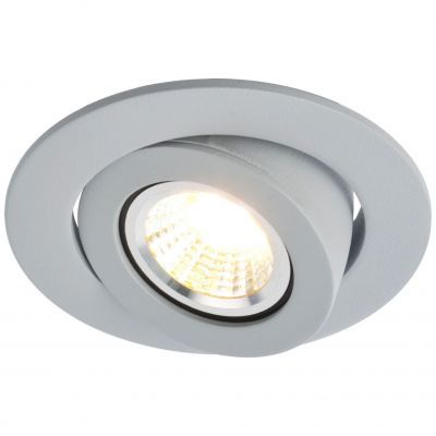 Светильник потолочный Arte Lamp A4009PL-1GY