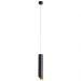 Светильник подвесной Arte Lamp Pilon-Gold A1536SP-1BK